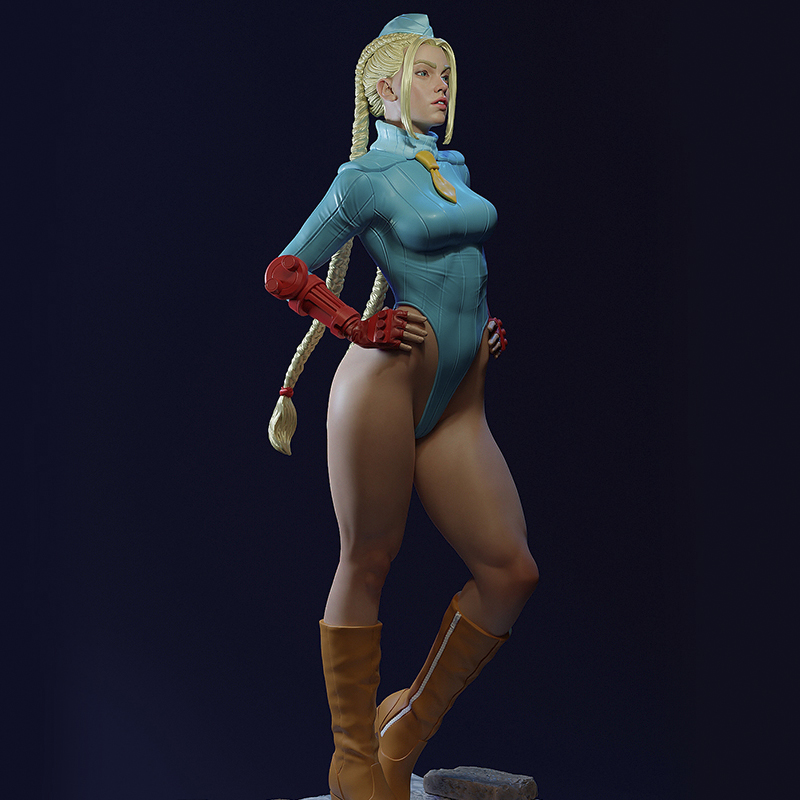 Cammy + SFW STL 3D Print